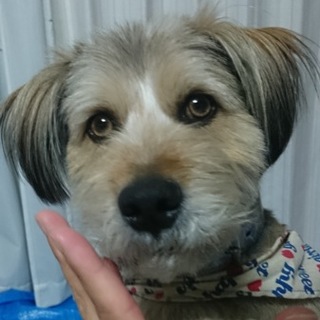 多頭飼育現場のピースくん！