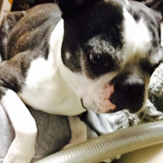 明るく人が大好きな子です！