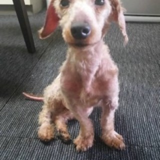 素敵な家族が見つかりました！