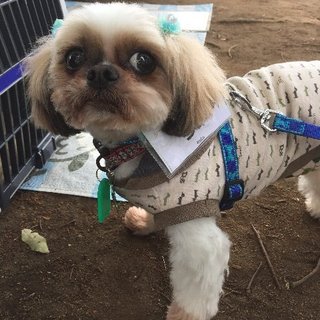 仮名：らく　人が好き