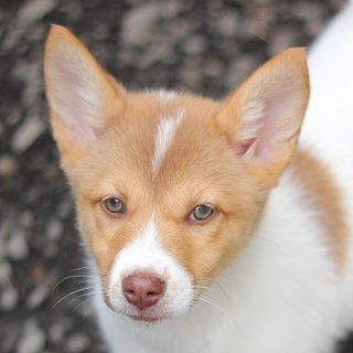 生後3か月ビーズちゃん