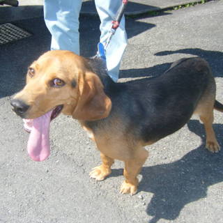 譲渡決まったそうです！！