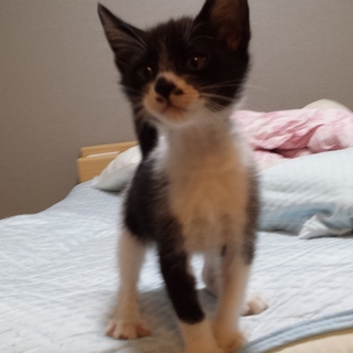 なかなか決まりません（泣）