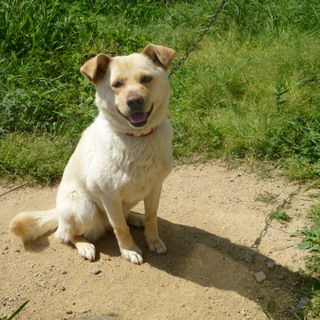 募集を終了しました。