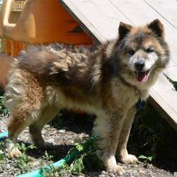 「太郎です」サムネイル2