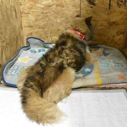 「太郎です」サムネイル3