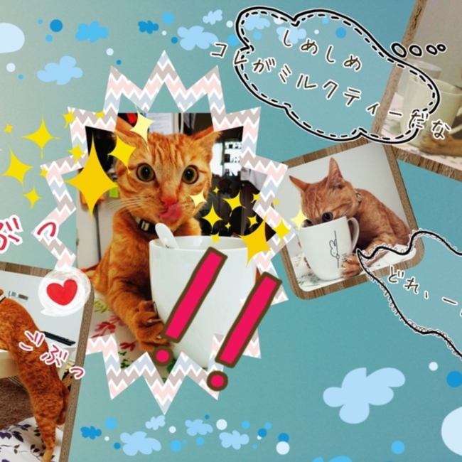 もりみぃのカバー写真