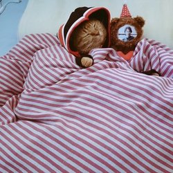 スズさんの憂鬱