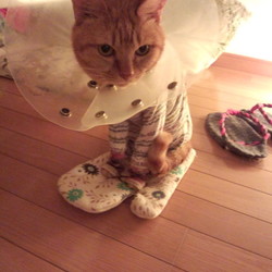 「スズさんの憂鬱」サムネイル3