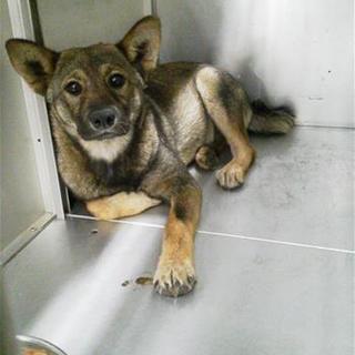 くりくりお目目のなみちゃんです！