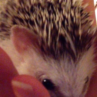 たくさんの応募ありがとうございます＊°