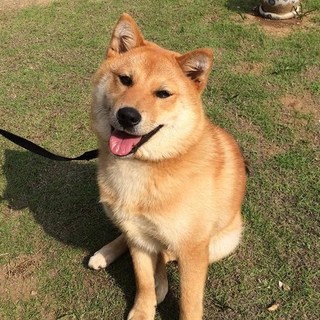 募集を一時停止します。