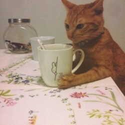 吉備丸大好きな牛乳事情