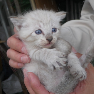 新しい家族のもとへ！！