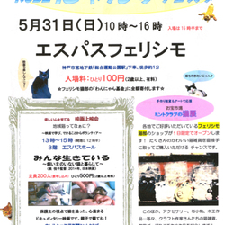 楽しみながら猫のしあわせを応援