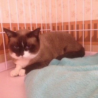 素敵なご家族と巡り会えました