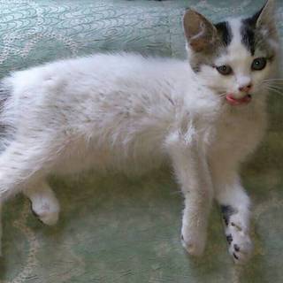 3月生まれの女の子＊甘えん坊❤