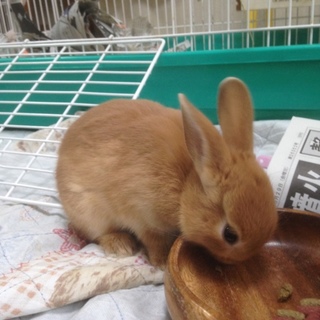 たくさんの応募ありがとうございました