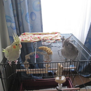 たくさんの応募ありがとうございました。