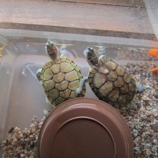 たくさんのご応募ありがとうございました！