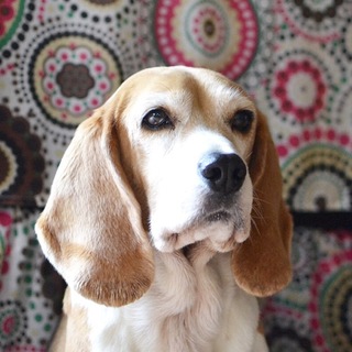 3頭身の甘えんぼさん♡のんびりミキコ