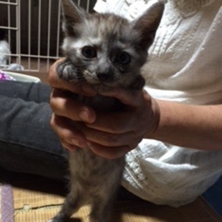 家族にして下さいm(_ _)m