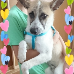 素敵な家族の元へ♪