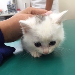 家族にして下さいm(_ _)m