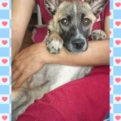 お見合い予定♪