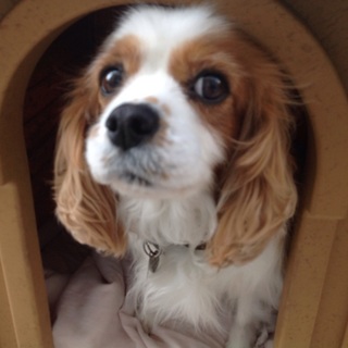 たくさんの応募ありがとうございました