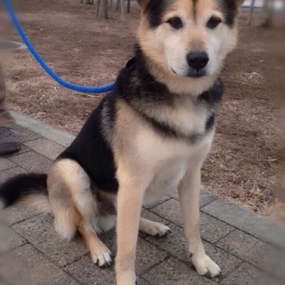 甘えっ子ジン君