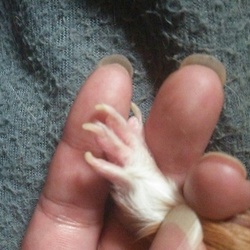 親バカ丸出しですいませーん