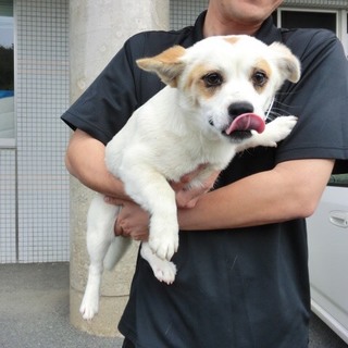 この子の命を救ってください。