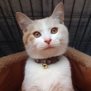 女の子みたいなムク君☆