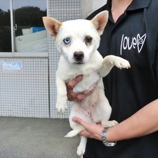 この子の命を救ってください。