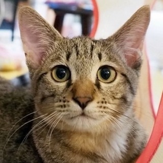 お家が決まりました☆そら君