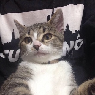 ツンデレの男の子です！