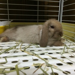 のんびりオレンジ♡