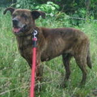 素敵な里親様に巡り合えました