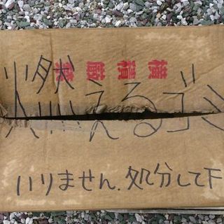 ごみ捨て場から拾いました