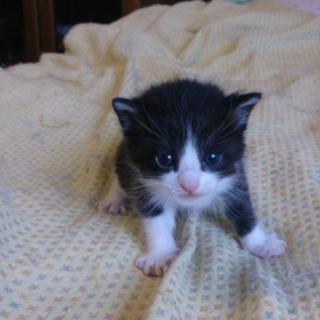 両親はごみ捨て場出身