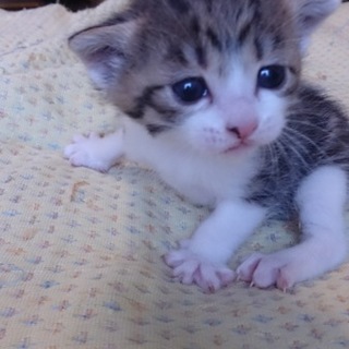 両親はごみ捨て場出身