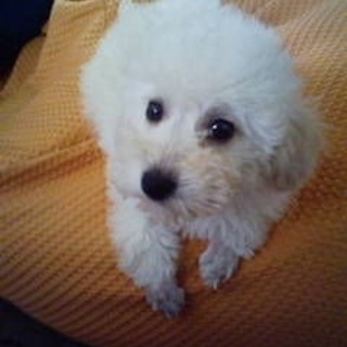 沢山のお問い合わせ、ありがとうございました