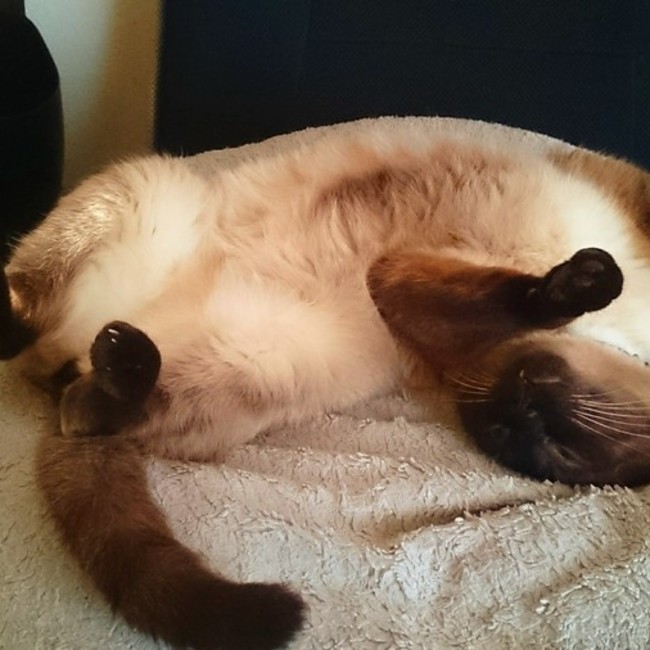 あすかろーらんのカバー写真