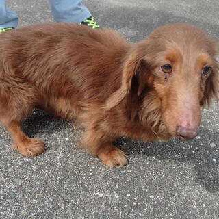 譲渡されました！！