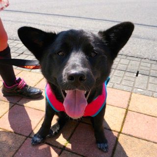 家族が出来ました♡