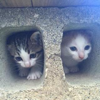 4/22に生まれました！