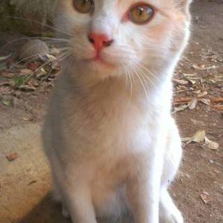 9か月の男の子☆ひとなつっこい❤