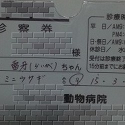「雷牙、ゆるウンチする。」サムネイル1