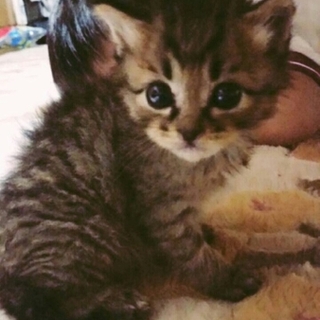 一時募集を中止します☆